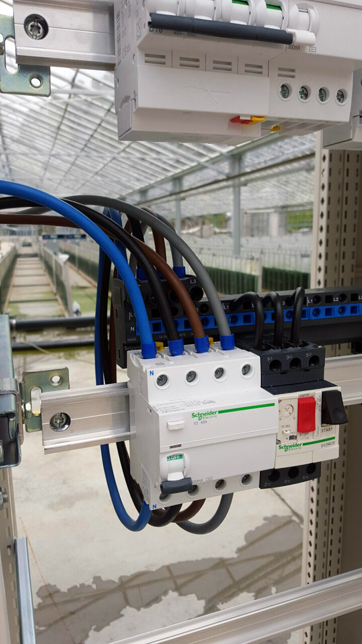 Quadro generale di stabilimento — fotografia 5